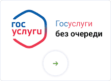 гос. услуги