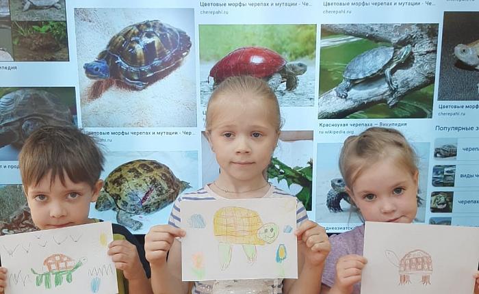 День черепах