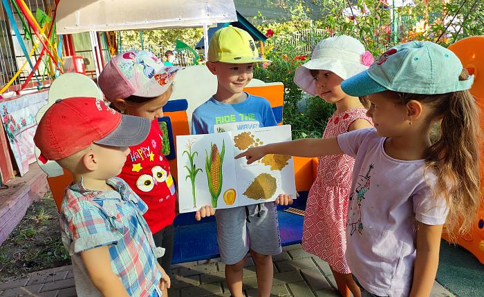 День изучения кукурузы.