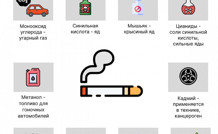 ПРОФИЛАКТИКА ЗАБОЛЕВАНИЙ И ПОДДЕРЖКА ЗДОРОВОГО ОБРАЗА ЖИЗНИ.