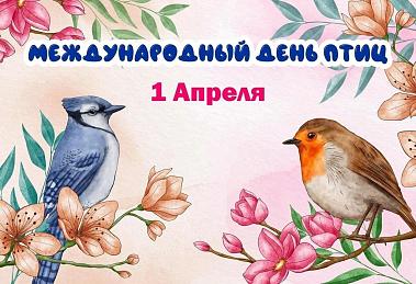 Международный день птиц.